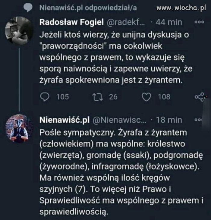 Cyk, pyk 
