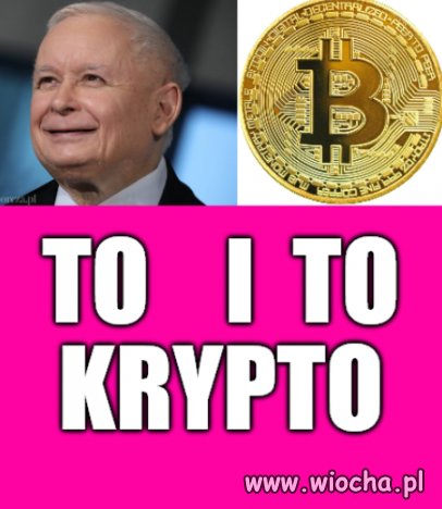 Cecha wspólna?