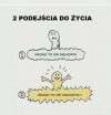 Dwa podejścia do życia