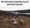 ALERT RCB na dziś