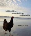 Miłej reszty dnia