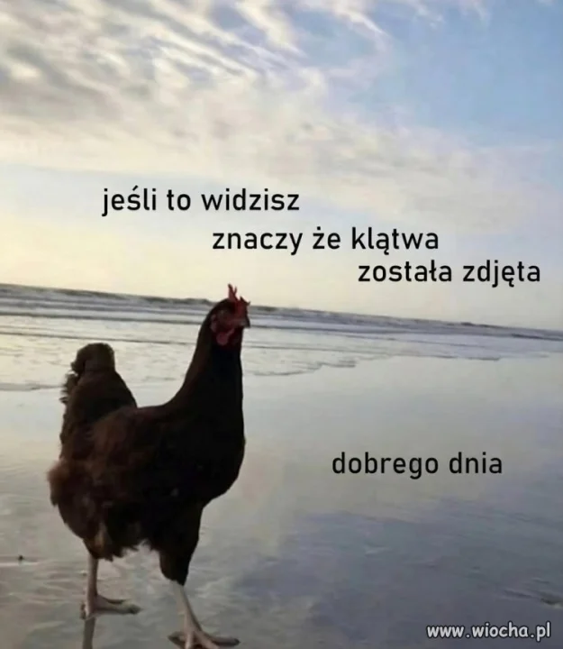 Miłej reszty dnia