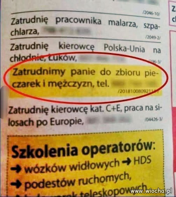 Batyr maczał palce 