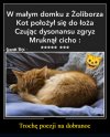 Nigdy wiecej oszustow i zlodziei PiSu w polityce!