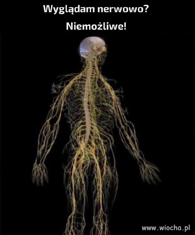 Ja mam zawsze taki wygląd