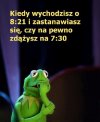 Zegar goni, a ja wciąż w lesie