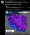 A berkowicz dalej udaje 