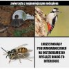 Ja tam lubię