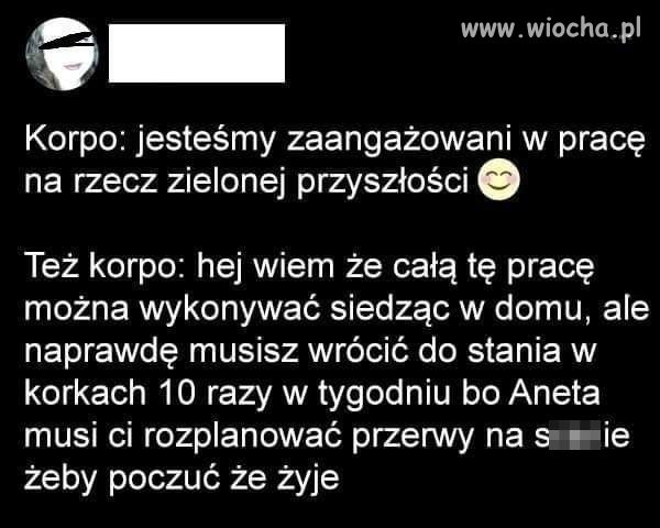 Aneta ma plan