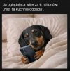 Kto biednemu zabroni pomarzyć