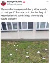 Nie tylko psy bałaganią