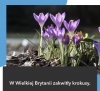 Uwaga! W końcu dobra wiadomość