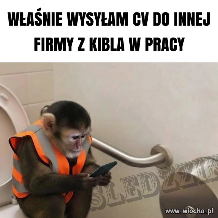 Właśnie wysyłam cv do innej firmy