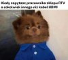 Specjalista od jednego