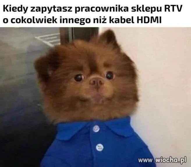 Specjalista od jednego