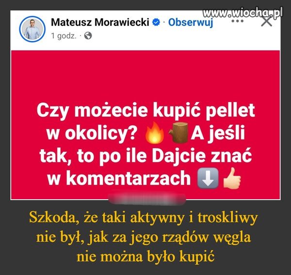 Pinokio, mówi dzień dobry 
