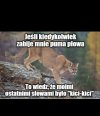 Kici-kici, a potem koniec!