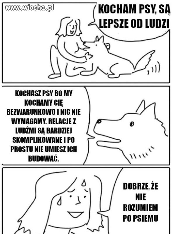 Kto tu jest mądrzejszy?