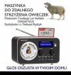 Okazja dla elektoratu PiSu i prawicy Putina...