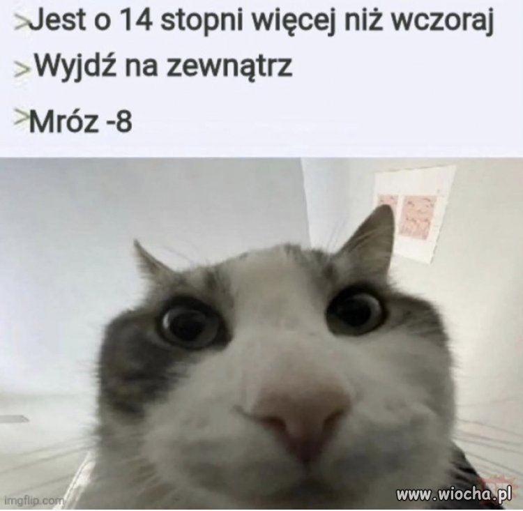 Człowiek już się zdążył przyzwyczaić