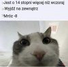 Człowiek już się zdążył przyzwyczaić