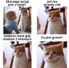 Właśnie odkryłem, że mam konkurencję