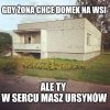 Serce nie sługa
