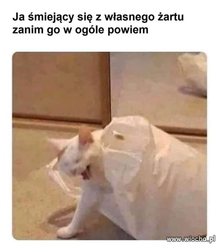 Największy fan