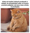 Najgorzej jak jesteś w fit erze na zakupach