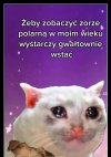 I się pod tym mogę podpisać 