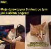 Dosłownie tak to wygląda