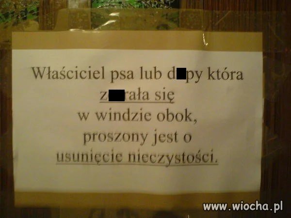 Ktokolwiek lub cokolwiek to było