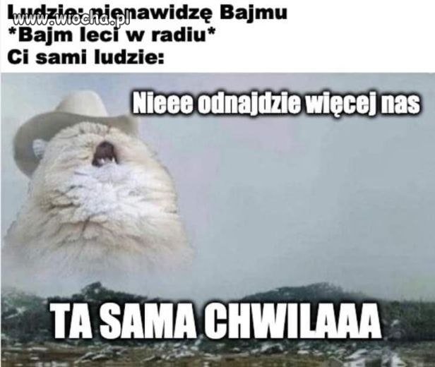 Człowieku, co ty gadasz