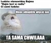 Człowieku, co ty gadasz
