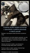 Ludzkość to najgorsze co przydarzyło się Ziemi