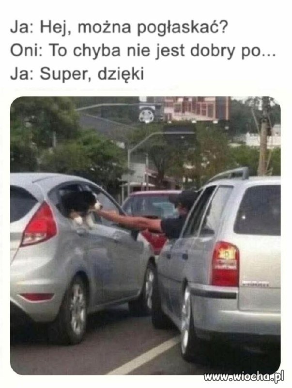 Właściciele psów nienawidzą takich osób