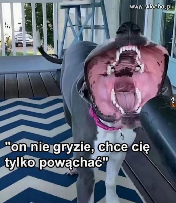 Nie bój się, to tylko przytulanka