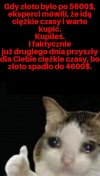 Klasyka gatunku 