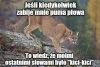 Nie oszukujcie się 