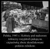 Troche historii dla prawicy Putina: "Czerwona zaraza"