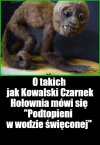 Kaprawym okiem ateisty patrząc ...