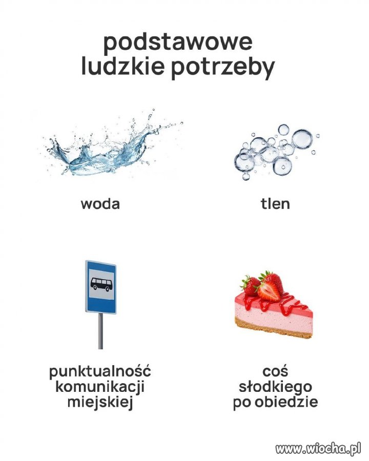 Prawda, wszystko prawda