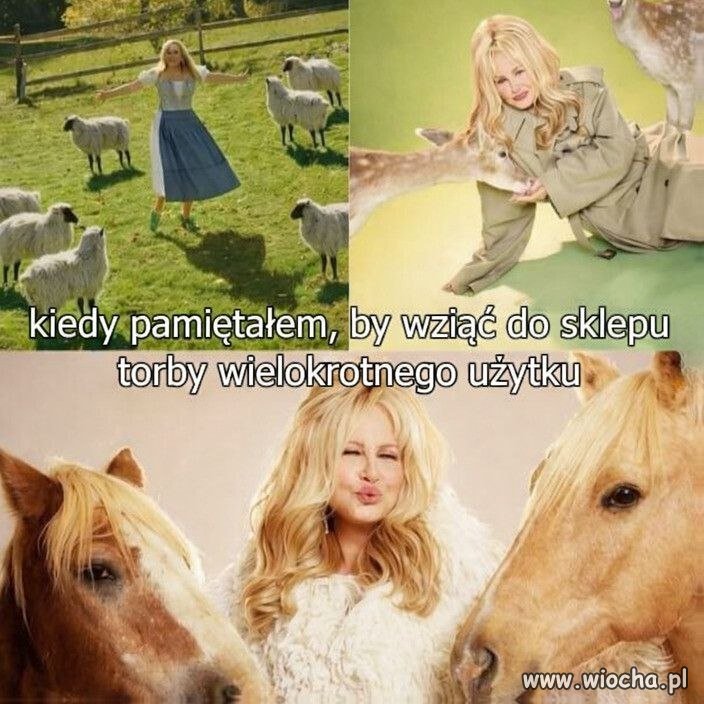 Jestem gwiazdą