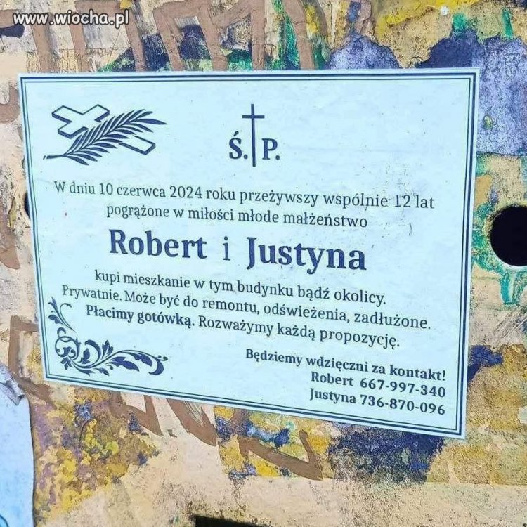 Flipperzy w Polsce i ich pomysły