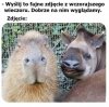 Kiedy chciałeś być cool, a wyszło jak zawsze
