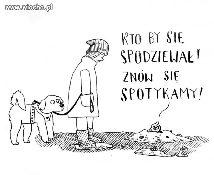 Lepiej sprzątać po swoich pieskach