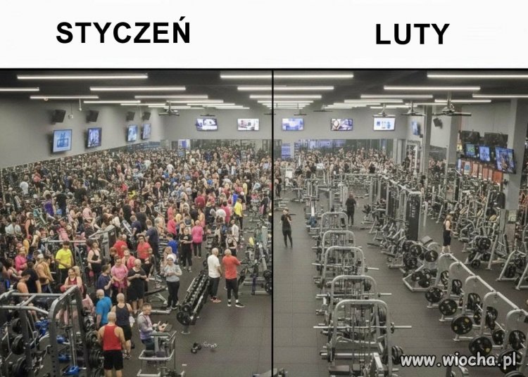 Tak wyglądają deklaracje noworoczne