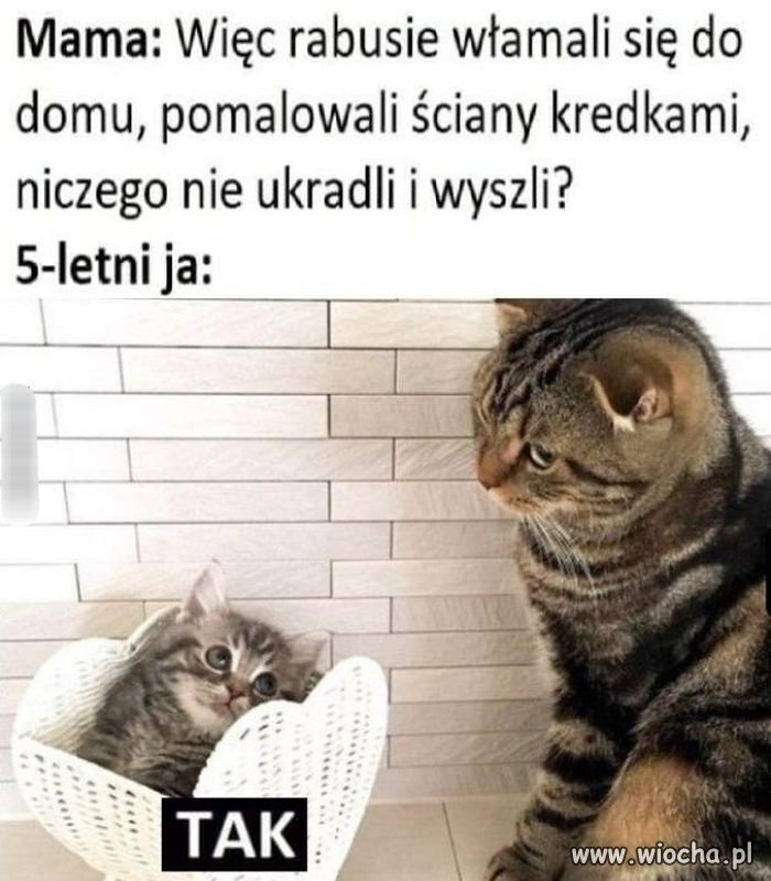 Kto ma małe dzieci ten się w cyrku nie śmieje 