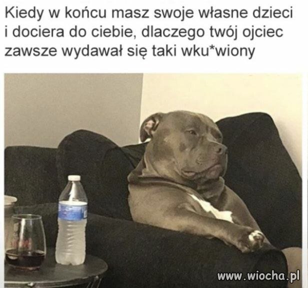 Życie zweryfikowało