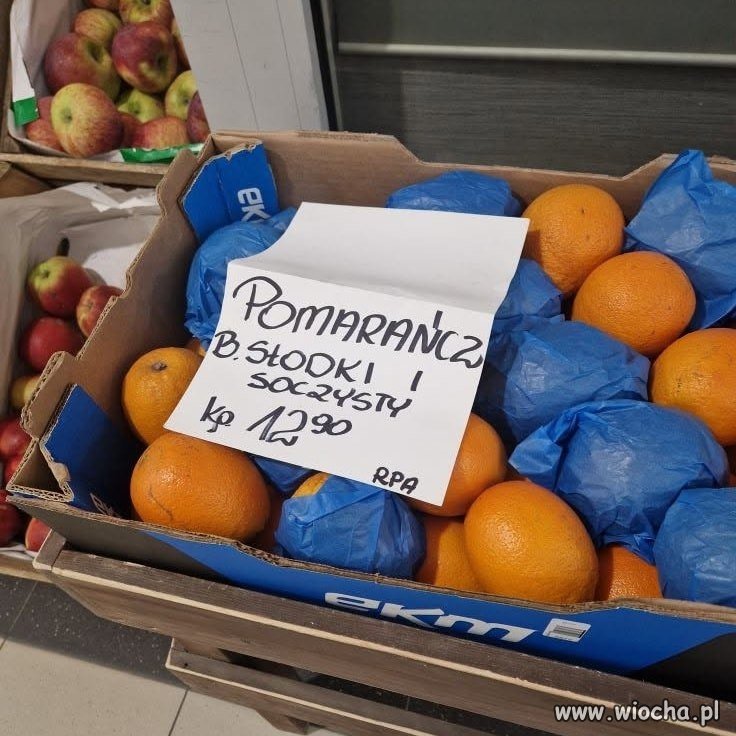 Walka z feminatywami
